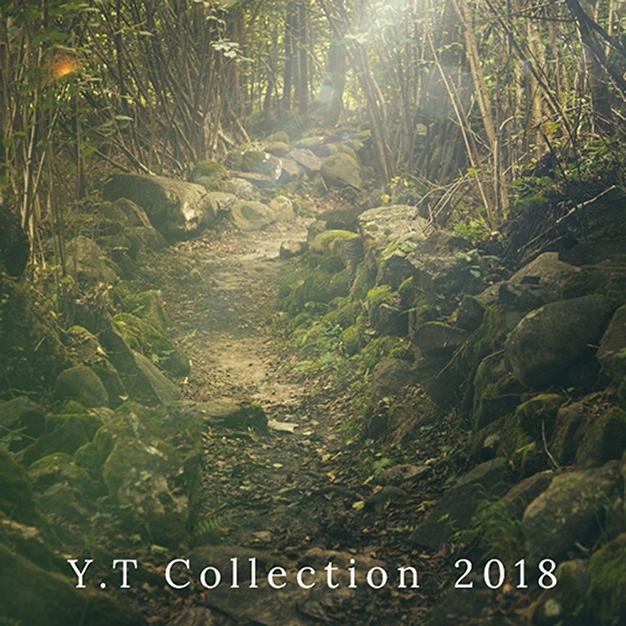 Y.T Collection 2020